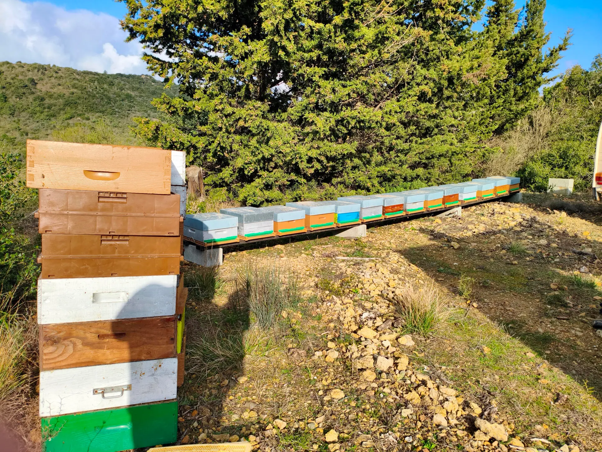 Ruches du Rucher de Quentin dans le massif des Corbières